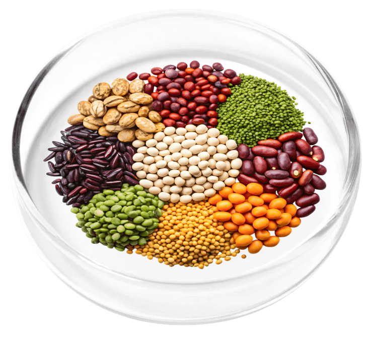Vitamin B12